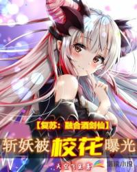 见软